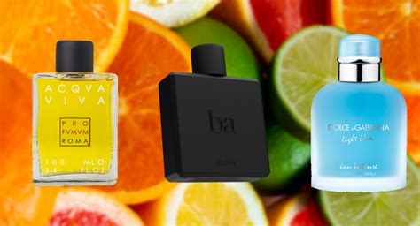 men's cologne with citrus notes